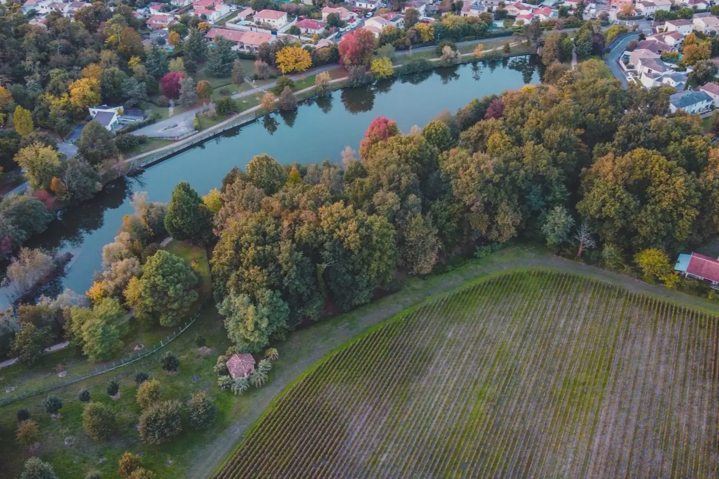 Vignes du Bordelais en automne, vues du ciel, le long de la rivière.