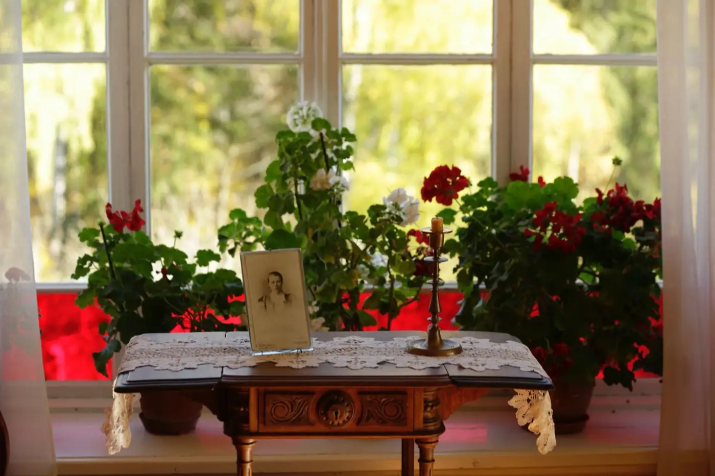 Des fleurs posées sur une table, près d'une fenêtre.