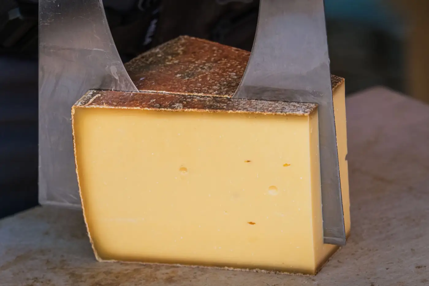 Une meule de fromage à pâte pressée, entamée.