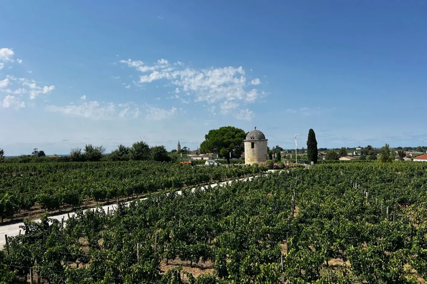 Vignoble et vieille tour de pierre sous un ciel dégagé.
